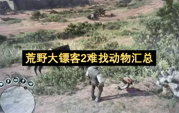荒野大镖客2难找动物汇集