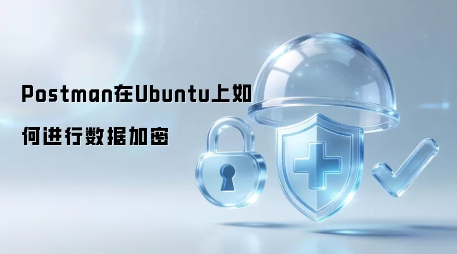 Postman在Ubuntu上怎样进行数据加密