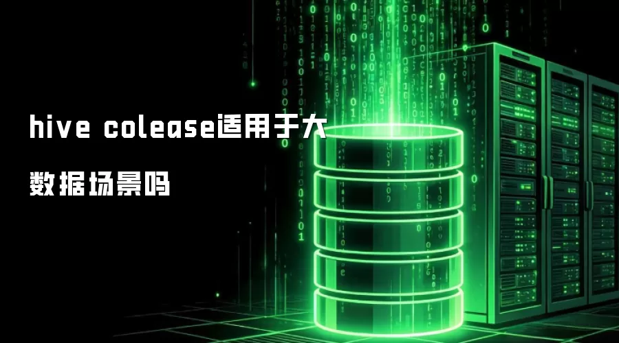 hive colease适合大数据场景吗