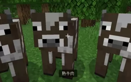 我的世界怎么把生牛肉变熟-mc生牛肉变熟技巧