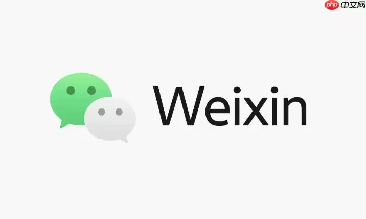 微信网页版网址 2026微信网页版登录入口