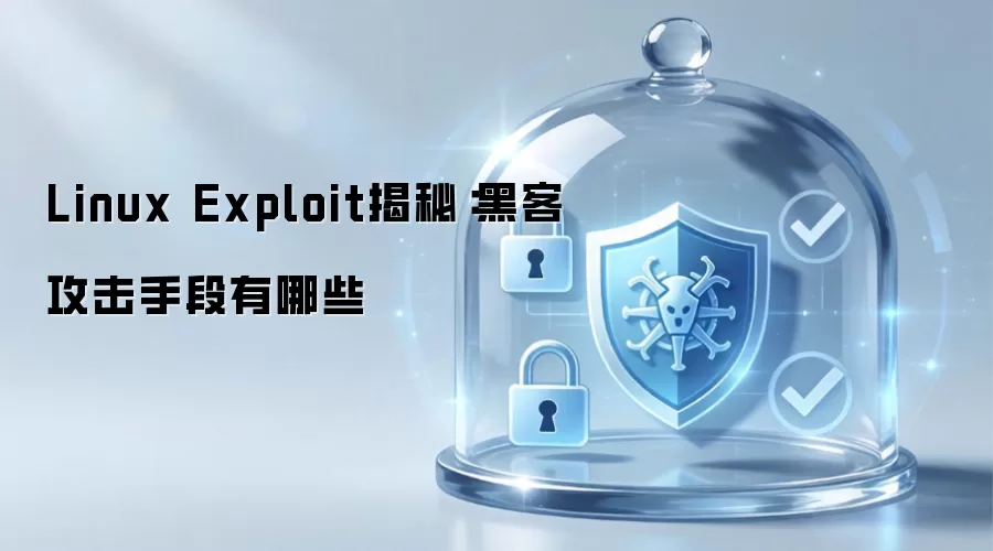 Linux Exploit揭秘：黑客攻击手段汇总