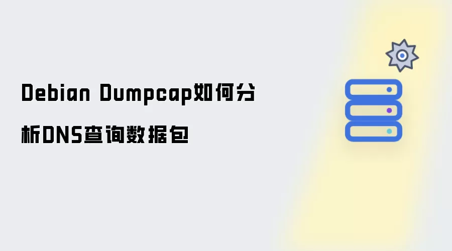 Debian Dumpcap怎样分析DNS查询数据包