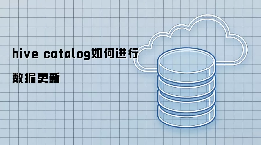 Hive Catalog数据更新怎样进行