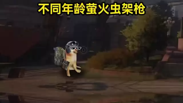 萤火突击 各个年龄段萤火虫架枪