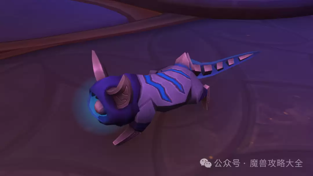 魔兽世界泰然深潜猫宠物如何获得