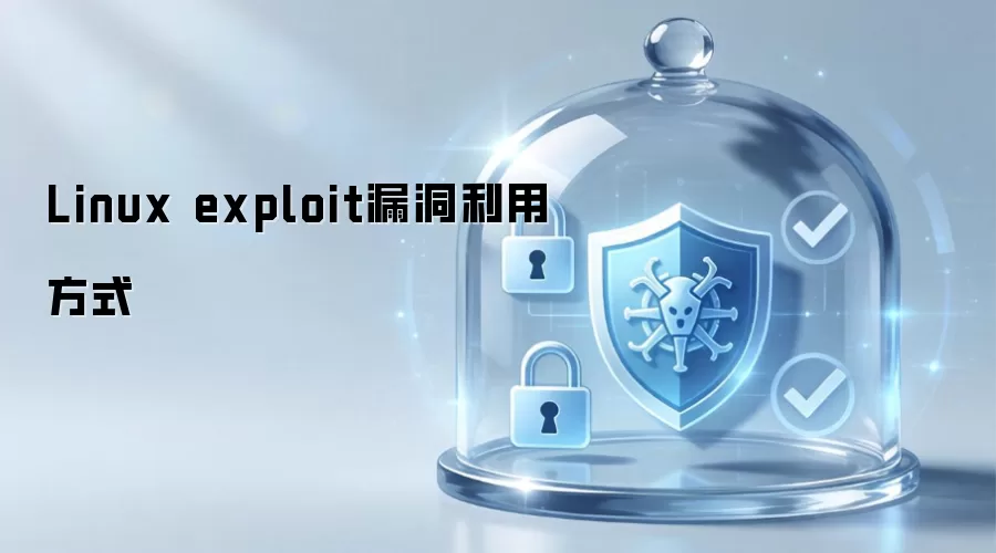 Linux exploit漏洞利用方法