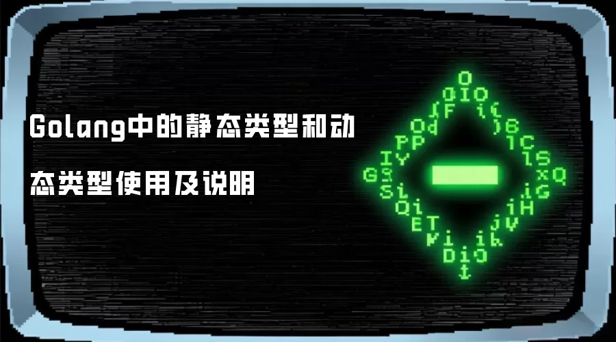 Golang中的静态类型和动态类型使用与说明