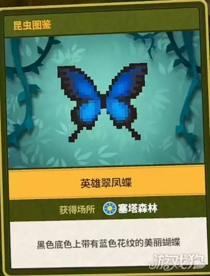 潜水员戴夫丛林DLC全昆虫图鉴一览 丛林DLC有哪些昆虫