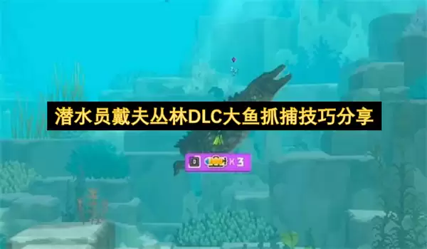 潜水员戴夫丛林DLC大鱼抓捕技巧分享