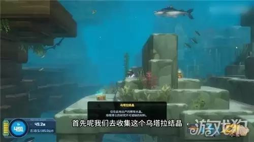 潜水员戴夫丛林DLC如何抓大型鱼类 丛林DLC无伤抓大型鱼类攻略