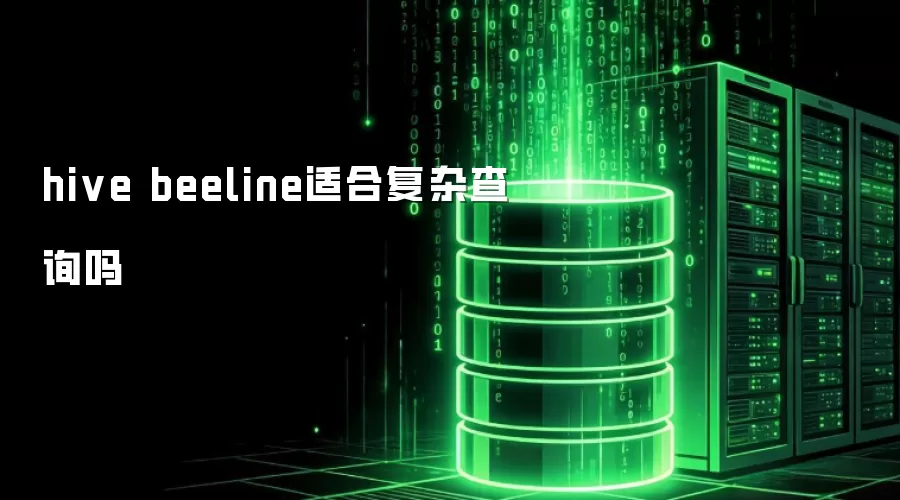 hive beeline适用复杂查询吗