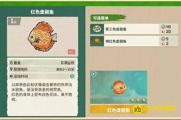 《潜水员戴夫》红色盘丽鱼在何处钓-丛林DLC红色盘丽鱼图鉴钓鱼点与钓鱼时间方法