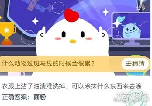 衣服上沾了油渍难洗掉能涂抹什么东西来去除