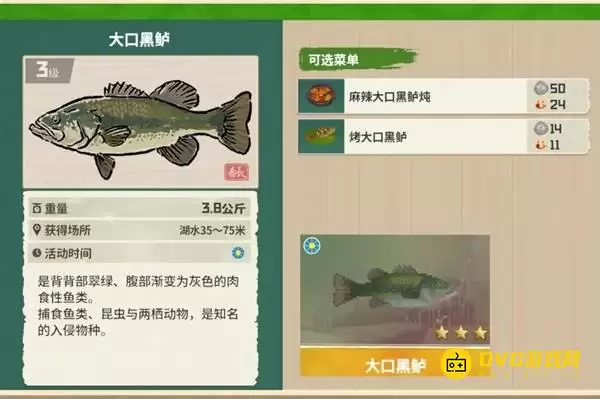 《潜水员戴夫》大口黑鲈在哪里钓 - 丛林DLC大口黑鲈图鉴钓鱼点及时间方法