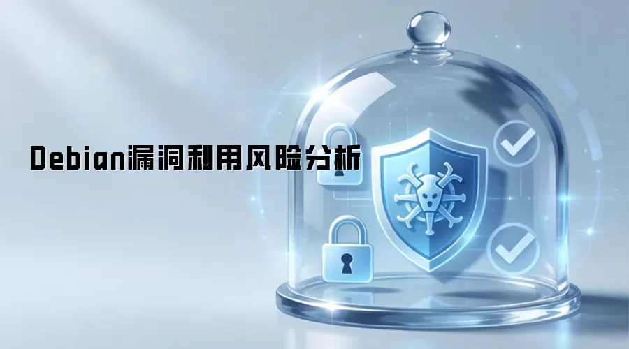 Debian漏洞利用风险剖析