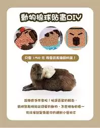 一鹿拼怎么用