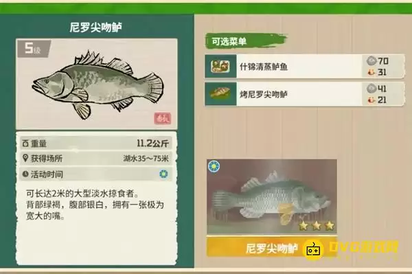 《潜水员戴夫》尼罗尖吻鲈钓点位置-丛林DLC尼罗尖吻鲈图鉴钓鱼时间与方法