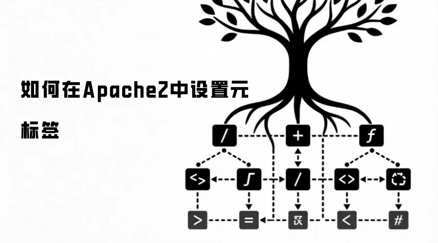 在Apache2中如何设置元标签