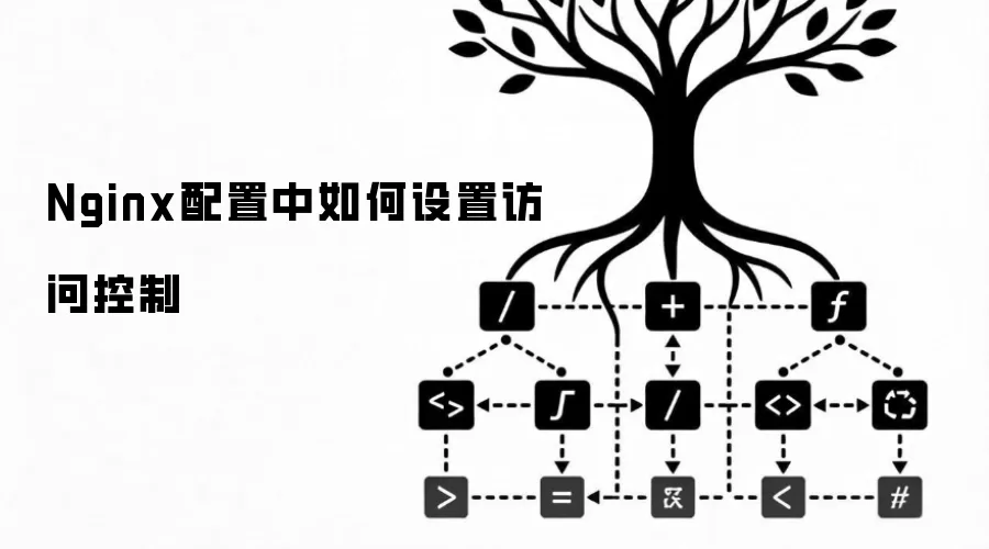 Nginx配置中如何实现访问控制