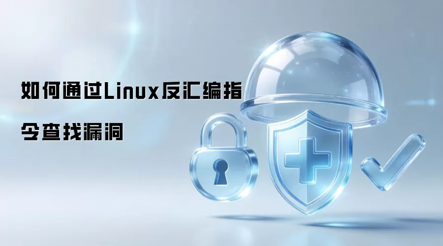怎样通过Linux反汇编指令查找漏洞