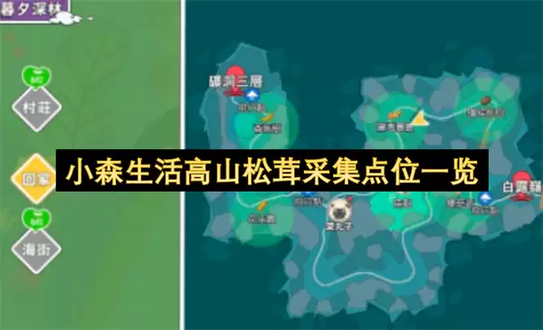 小森生活高山松茸采集位置一览