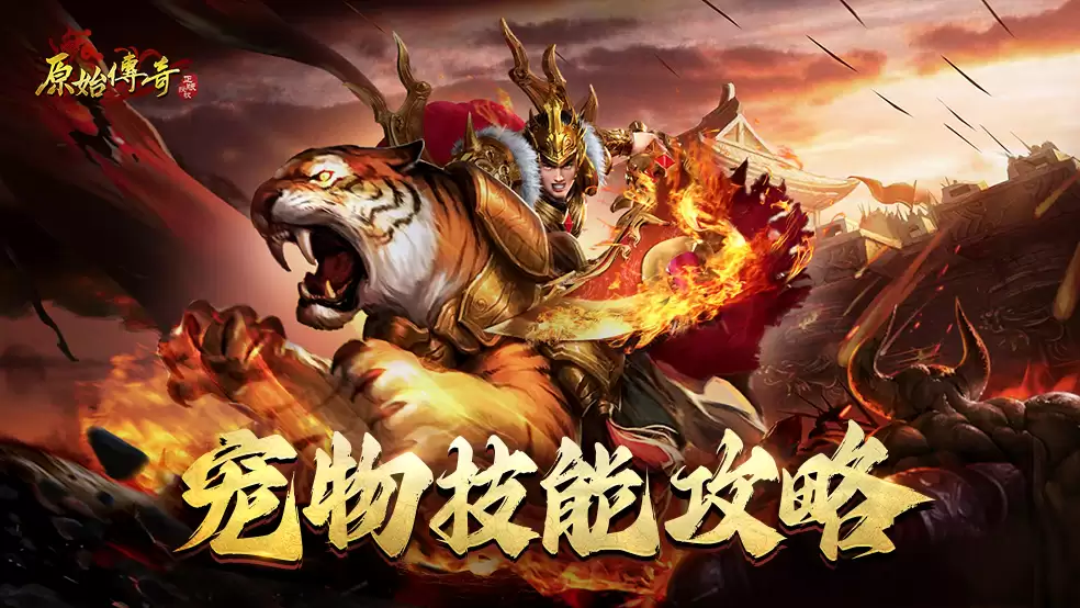 玛法攻略-宠物技能提取全攻略