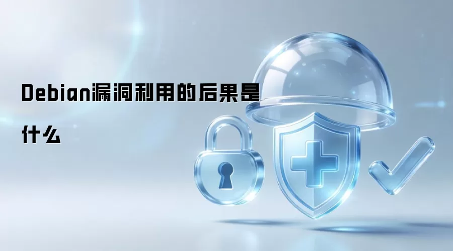 Debian漏洞利用的后果会是什么