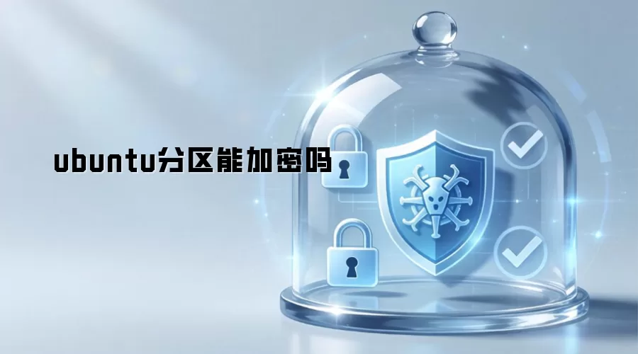 ubuntu分区可以加密吗