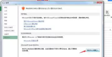 怎样在office中启用宏