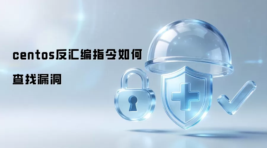 centos反汇编指令怎样查找漏洞
