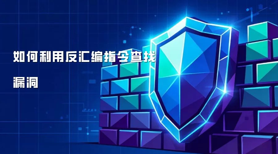 如何利用反汇编指令寻找漏洞