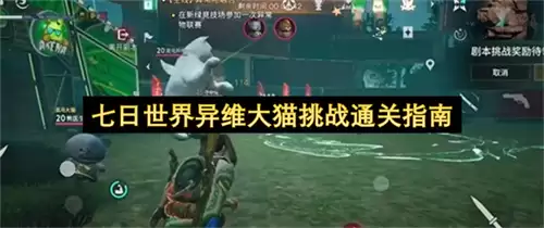 七日世界异维大猫挑战通关指引