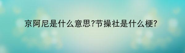 京阿尼是啥意思-节操社是啥梗