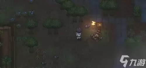 秩序新曙光：动物搬运物品介绍