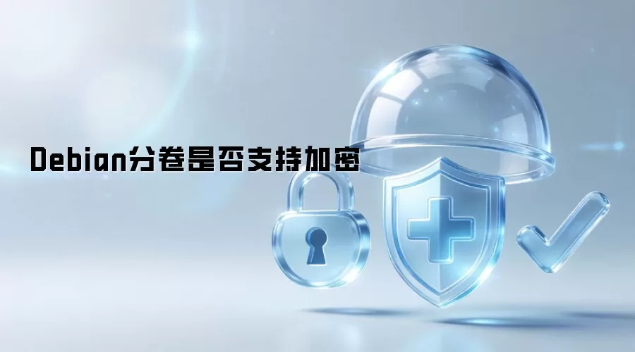 Debian分卷能否支持加密