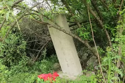 钟祥论坛怎样设置发帖隐藏内容回复可见-钟祥论坛如何设置发帖隐藏内容回复可见