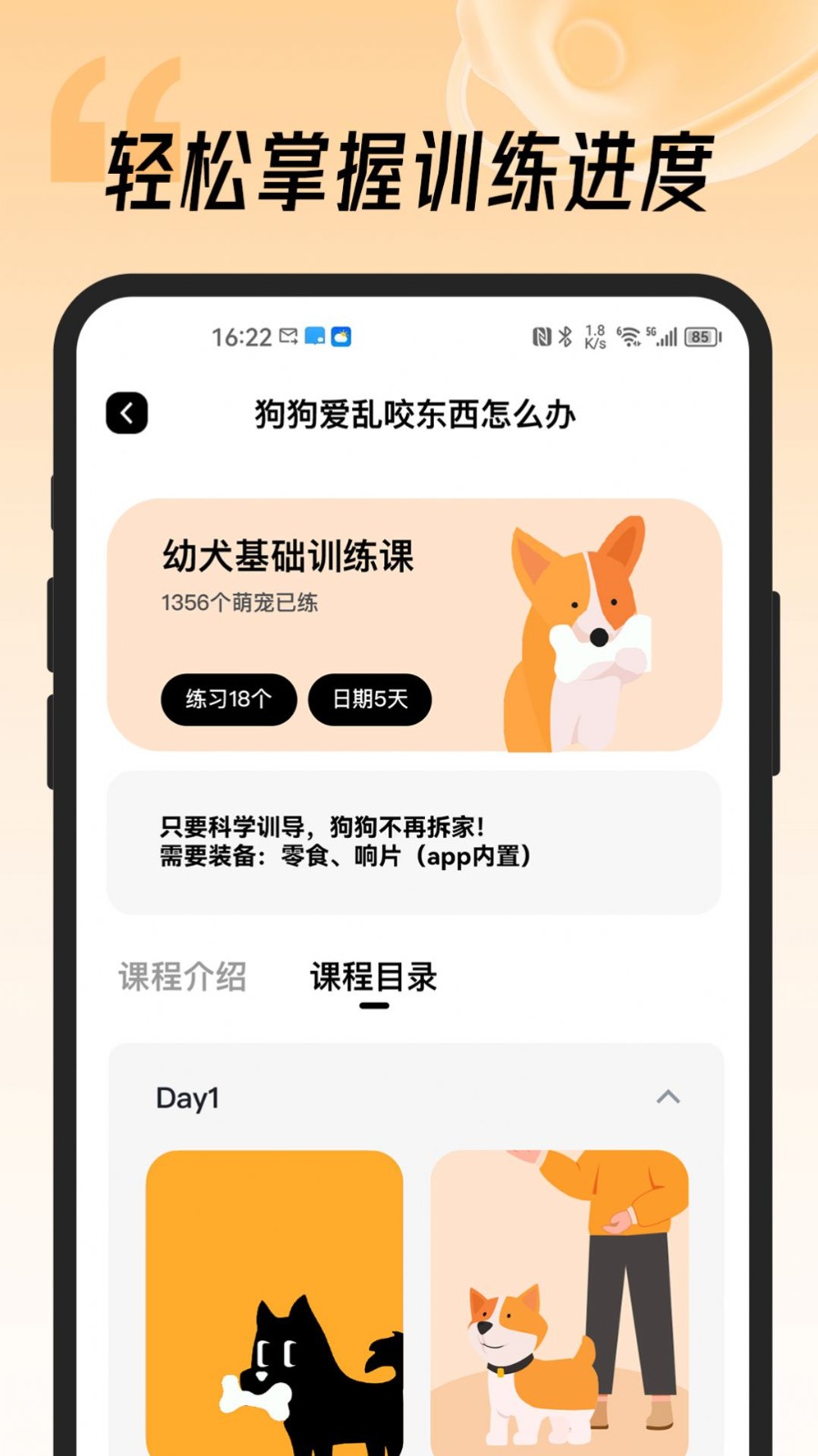宠物记 2