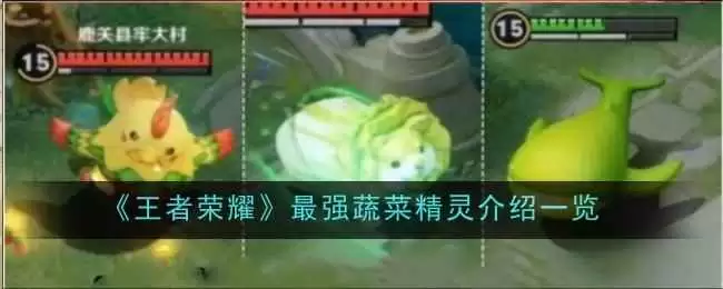 王者荣耀s43怎样种菜