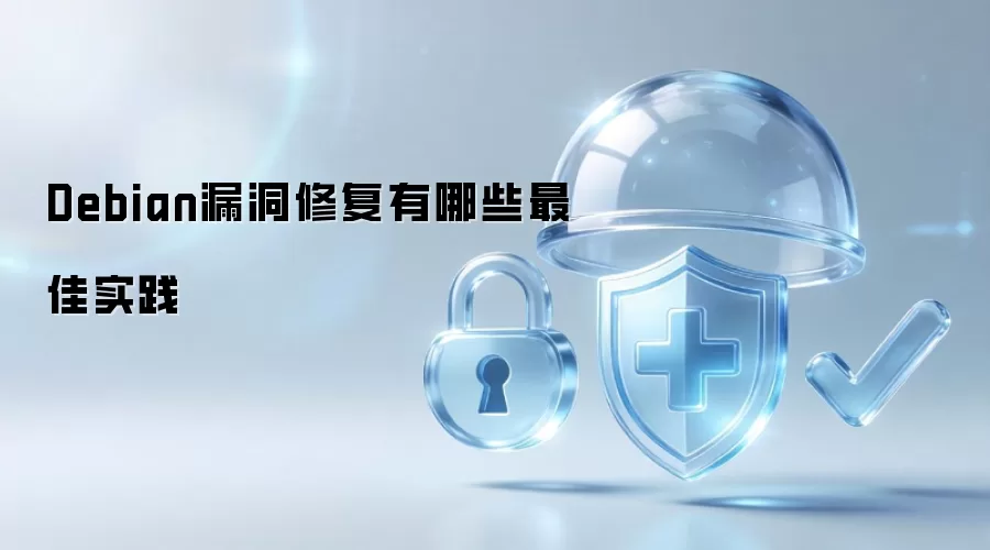 Debian漏洞修复最佳实践有哪些