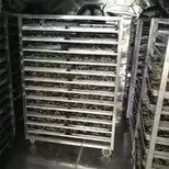 中药材烘干有何技巧-全面分享中药材烘干技巧