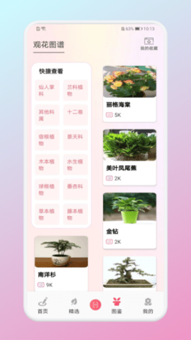 养花小助手 2