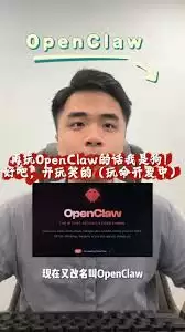 openclaw的开发者是谁