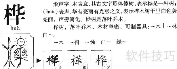 桦字组词全集