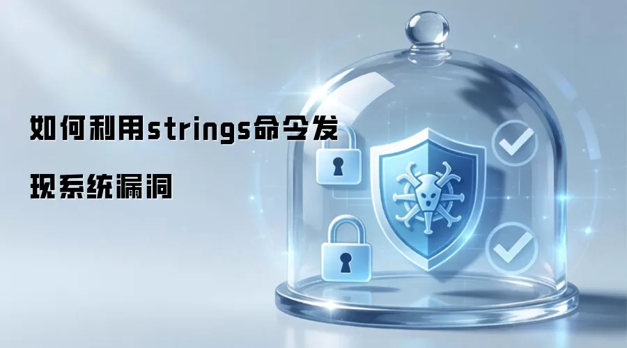 如何通过strings命令发现系统漏洞