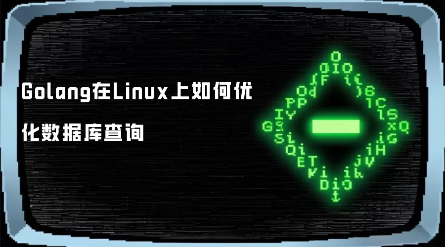 Golang在Linux上如何进行数据库查询优化