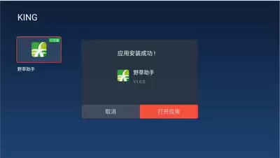 怎样下载小米电视野草助手