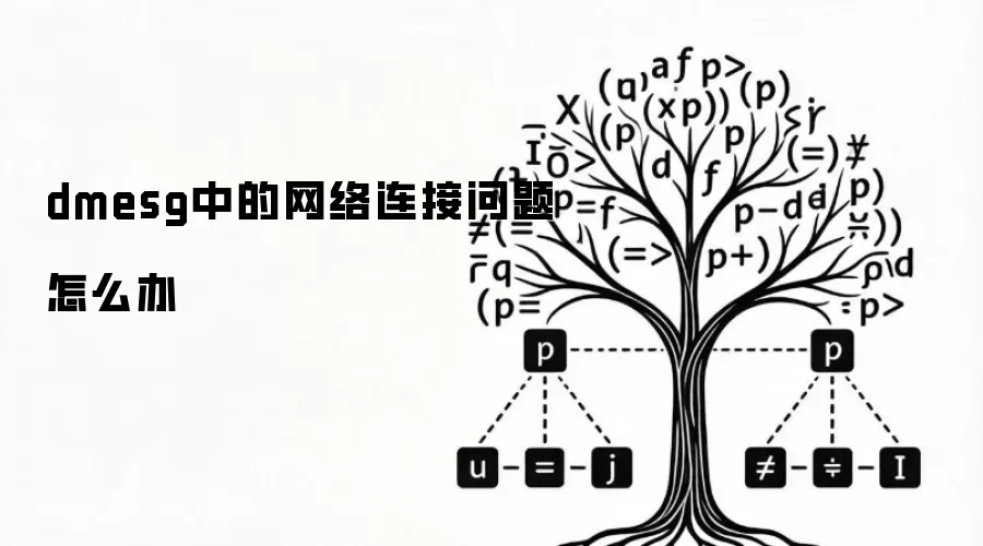 dmesg中的网络连接问题如何解决