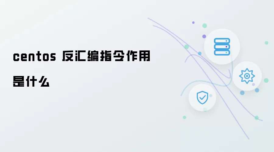 centos 反汇编指令功能是什么