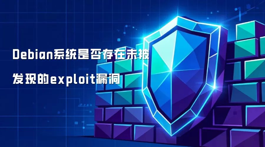 Debian系统是否存在未发现的exploit漏洞
